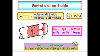 La dinamica dei Fluidi presentata da Mirking [upl. by Keriann]