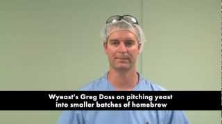 Wyeast on Pitching Yeast in Smaller Batches of Homebrew [upl. by Deedahs]