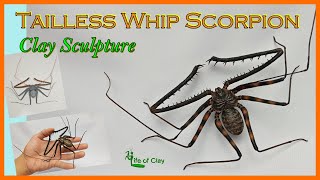 Sculpting Tailless Whip Scorpion Damon diadema Polymer Clay Life of Clay [upl. by Tamaru]