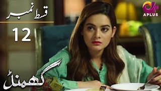 Ghamand  Episode 12  Aplus Dramas  Noman Ejaz Sunita Marshall Sadaf  Pakistani Dramas  CG11 [upl. by Humberto]