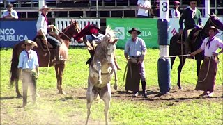 Jineteadas Recado OrientalSemana Criolla Prado 2022 [upl. by Mehelhteb537]