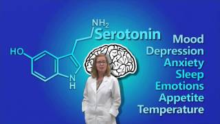 Dopamine Serotonin amp Norepinephrine [upl. by Candace333]