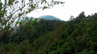 Cloud Forest View Doi Inthanon Thailand [upl. by Ramey]