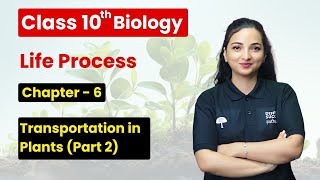 Life Processes  Transportation in Plants Part 2  Class 10 Biology Chapter 6 CBSE 202425 [upl. by Annohsed]