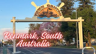 Renmark Charming town in South Australia renmark southaustralia [upl. by Erickson564]