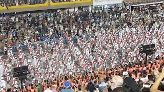 Mangueira 2019 Bateria desfile ao vivo [upl. by Yvi]