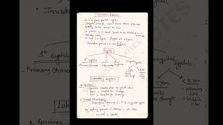 Treponema Pallidum shortnotes shortnot microbiology explore [upl. by Kiernan848]