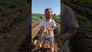 The baby is crying in the field and his parents cant accompany him [upl. by Vivia]