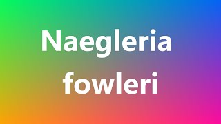 Naegleria fowleri  Medical Meaning and Pronunciation [upl. by Eenot]