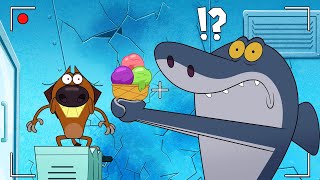 ZIG AND SHARKO  Secret friendship SEASON 3 New episodes  Cartoon Collection for kids [upl. by Tara]