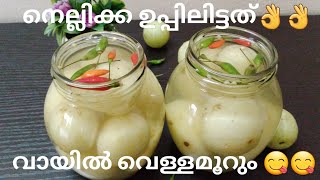 വായിൽ വെള്ളമൂറും നെല്ലിക്ക ഉപ്പിലിട്ടത്😋😋  Kerala style Nellikka Uppilittathu  Malayalam Recipe [upl. by Roxane]