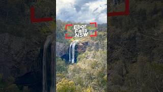 Guy Fawkes NP Ebor falls 5 years after the fires australia waterfall bushfires [upl. by Marley159]