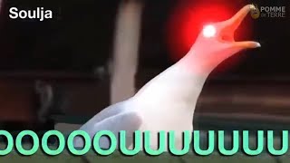 Inhaling Seagull Meme Compilation 2018 [upl. by Anigue]