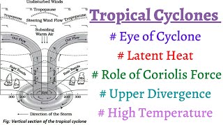 P12C10 What are TROPICAL CYCLONES 5 conditions for formation of Tropical Cyclones Eye of Cyclone [upl. by Lisab287]