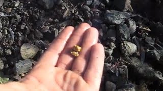 Garrett Infinium finds 14 OZ Gold Nugget in N California [upl. by Sapienza]