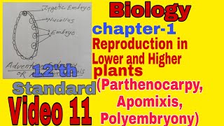 Apomixis  Parthenocarpy  Polyembryony  Chapter 1 Biology  HSC  class 12  video 11 [upl. by Attegroeg]