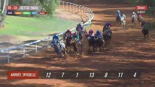 Live Hippodrome « SETTAT »  Courses du « 27092023 » [upl. by Gavette795]