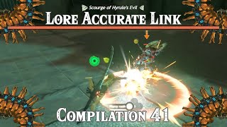 The Scourge of Hyrules Evil Lore Accurate Link Compilation 41 [upl. by Eltsirhc]