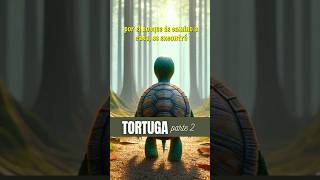 CUENTO de la TORTUGA 2 para el autocontrol infantil cuentos fabulas niños [upl. by Eiryt424]