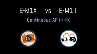 EM1X vs EM1 II  Quick AF Video Comparison [upl. by Liatnahs]