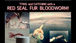 Tying and Catching with John Kents Red Seal Bloodworm [upl. by Terrill]