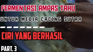 FERMENTASI AMPAS TAHU UNTUK MEDIA DAN PAKAN CACING SUTRA CASUT TANPA LUMPUR [upl. by Ynattyrb929]