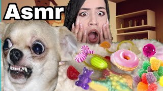 Asmr  Doces no pelo do cachorro [upl. by Yate]