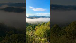 Sea Of Clouds Part I smokymountains national park [upl. by Annirtak]