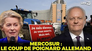 Mercosur  le coup de poignard allemand [upl. by Ahcrop]