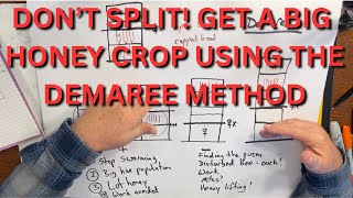 Dont Split Get a big honey crop with the Demaree method [upl. by Uird]