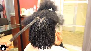 1 million views BEST how to video•• Two Strand Twists done on damp hair lasts 35 weeks [upl. by Nairot]