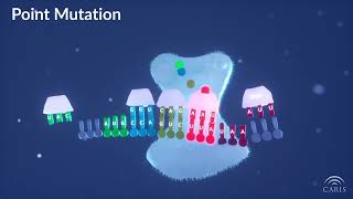 Difference Between Point and Frameshift Mutations  Central Principles of Molecular Biology [upl. by Aihsak722]