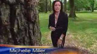 Gypsy Moths Decimate Forests CBS News [upl. by Sacha]