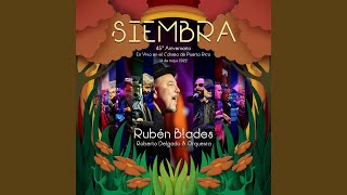 Siembra En Vivo en el Coliseo de Puerto Rico 14 de Mayo 2022 [upl. by Attenohs796]