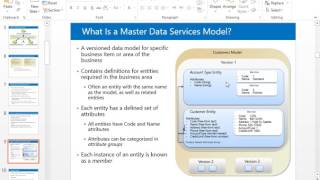 50 Master Data Service Overview P2 [upl. by Tisdale]