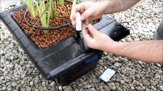 How to test pH in a Hydroponic system [upl. by Ennasil]