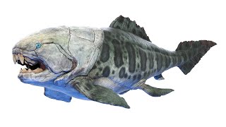 Dunkleosteus Dinosaur [upl. by Anileda524]