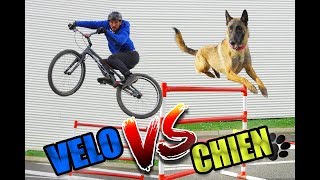 JE DÉFIE UN CHIEN  Vélo vs Chien [upl. by Granthem]