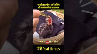 ये हैं Real Hero परिन्दे की माँ है ये महिला pakshi dosti newvideoout birdslover viralshorts [upl. by Abbie]