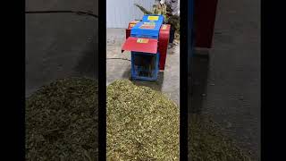 Maximize Farm Efficiency with the FCNFM Chaff Cutter Machine Turning Straw and Grass into HighQual [upl. by Elem]