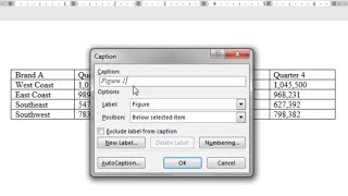 How to Insert a Table Caption or Heading in Word Table Heading Table Caption [upl. by Butcher552]