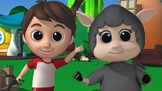 baa baa domba hitam lagu untuk anakanak sajak pembibitan Preschool Song Baa Baa Black Sheep [upl. by Hebrew]