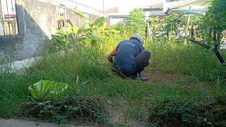 1545oppoF7CelineImclearing the grass over herei plan to put new plants herei love u ooh Sayang [upl. by Yer]