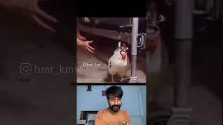 Aj murga fas gya funny memesreaction funnymemes reactionvideo comedy memes [upl. by Abbottson853]