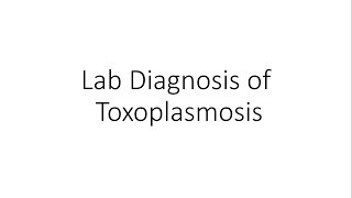 Laboratory Diagnosis of Toxoplasmosis  Parasitology [upl. by Atinoj44]