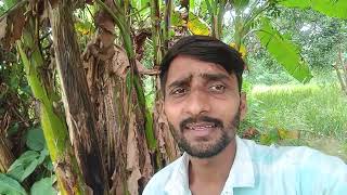 aam Lela khesari lal yadav rate Diya hai meri Pawan Kumar Bansal and song video [upl. by Noseyt]