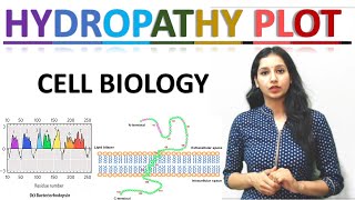 Hydropathy Plot I Cell Biology I Hydropathy Index I CSIRNET I GATE I TIFR I ICMR I ICAR I DBT I IIT [upl. by Eylloh263]