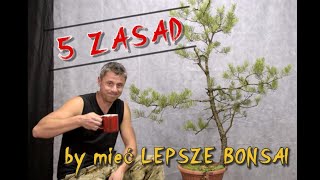 5 ZASAD by mieć dobre BONSAI Formowanie Sosny pospolitej BONSAI  Cz 12 [upl. by Donavon]