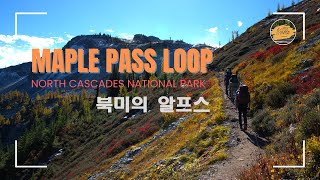 A gem of North Cascades National Park Maple Pass Loop Trail 노스캐스캐이드 국립공원에서 딱 한 군데만 간다면 메이플 패스 트레일 [upl. by Anikat527]