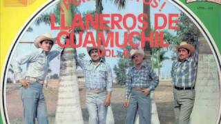 LOS LLANEROS DE GUAMUCHIL El Desterrado [upl. by Amluz]